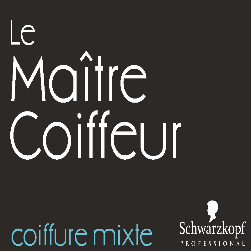 LE MAÎTRE COIFFEUR